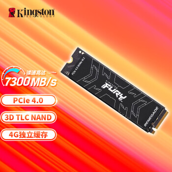 金士顿(Kingston) FURY 4TB SSD固态硬盘 M.2(NVMe PCIe 4.0×4) Renegade 读速7300MB/s AI 电脑配件