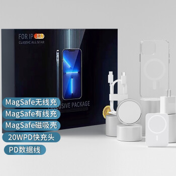 英酷 Magsafe磁吸充电套装适用苹果12手机壳磁吸无线充iPhone12Promax快充头充电宝五件套礼盒 12Pro