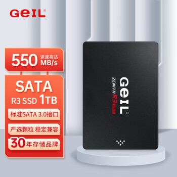 GEIL金邦 1TB SSD固态硬盘 SATA3.0接口 台式机笔记本通用 高速500MB/S R3系列