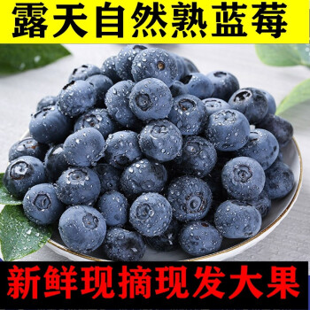 【顺丰发货】秘鲁怡颗蓝莓125g/盒单果20MM精选大果当季新鲜水果时令 2盒/125g小果（9-12MM）