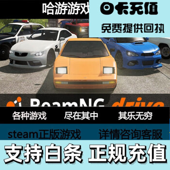 drive 车祸模拟器 模拟 单人支持代充 标准版 其他