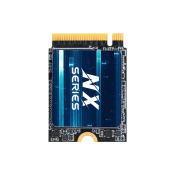 金胜维（KingSpec）1TB SSD固态硬盘NVMe 2230 M.2接口 精选TLC颗粒 PCIe3.0 读速3400MB/s 适配SteamDeck掌机