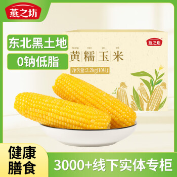 燕之坊 东北原产黄糯玉米棒10根 2.2kg非转基因真空鲜食粘糯健康早餐