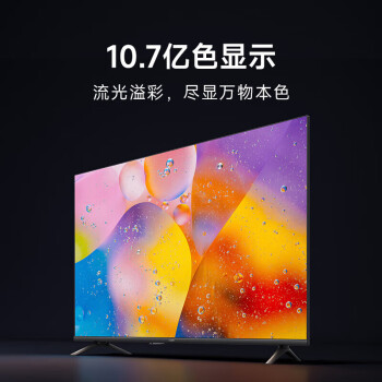 小米（MI）Redmi A43 43英寸 全高清 金属全面屏 双扬声器立体声 智能电视机L43RA-RA