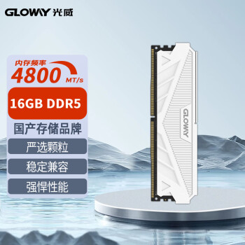 光威（Gloway）16GB DDR5 4800 台式机内存条 天策系列 助力AI
