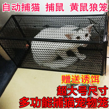 蓝羽蝶捕猫笼子大号抓猫捉猫神器自动捉猫笼子黄鼠狼笼逮猫笼老鼠笼