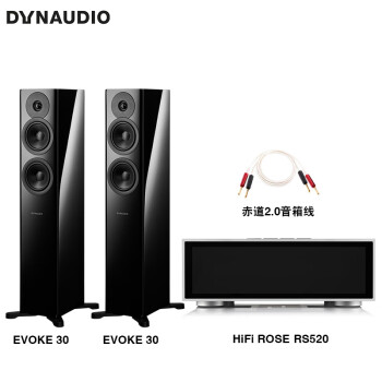 丹拿（DYNAUDIO）HiFi音响功放套装 重现Evoke 30无源落地音箱 高光黑+RS520高清流媒体功放机+Atlas赤道音箱线