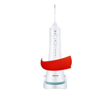 松下（Panasonic）冲牙器便携式家用水牙线超声波正畸全身水洗洁牙器 EW1521W405