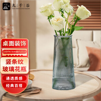 九千谷玻璃花瓶富贵竹水培植物容器康乃馨鲜花插花瓶竖纹灰色高20cm2233
