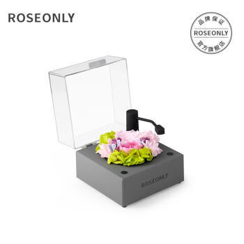 ROSEONLY永生花玫瑰花音乐系列留声机繁花仙踪浅影送女友生日情人节礼物