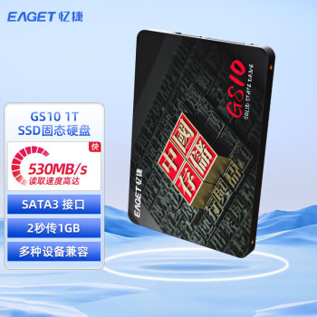 忆捷（EAGET）SSD固态硬盘 1TB SATA3.0接口2s高速传输笔记本台式机电脑高效办公商务长江存储晶圆 GS10