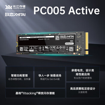 致态（ZhiTai）长江存储 256GB SSD固态硬盘 NVMe M.2接口 PC005 Active系列【装机优选】