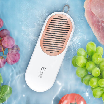 笨笨马 无线便携果蔬清洗机便携智能洗菜机食材水果蔬菜肉类自动净化器 BS05