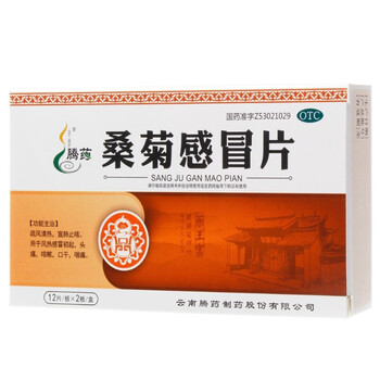 腾药 桑菊片 24片 疏风清热宣肺止咳风热药cc 1盒装