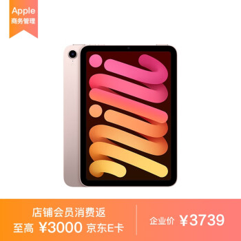 Apple iPad mini 8.3英寸平板电脑 2021款(64GB WLAN版/A15芯片) 粉红色 MLWL3CH/A*企业专享