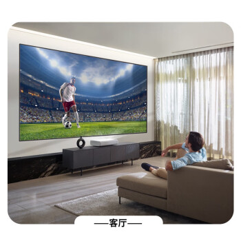 ProPre（40-75英寸）电视机挂架 固定电视壁挂架支架 通用智慧屏支架（承重70kg）