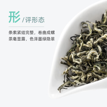 卢正浩绿茶碧螺春大罐香茶叶一级200g 明前茶叶罐装自饮口粮送礼