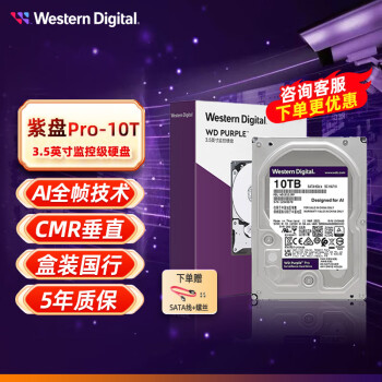 西部数据（WD） 紫盘Pro  SATA6Gb/s 7200转 台式机电脑安防监控机械硬盘 监控硬盘 垂直硬盘 台式硬盘 10TB 紫盘PRO【WD101EJRP】