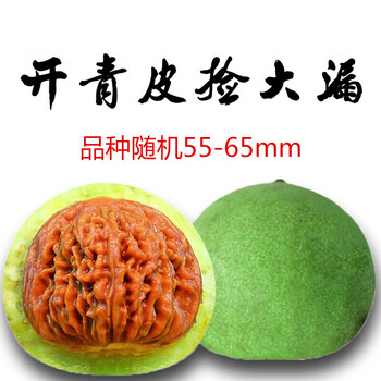 新年礼物青皮文玩核桃特大尺寸精品收藏级盲盒捡漏盘玩麻核桃大官帽