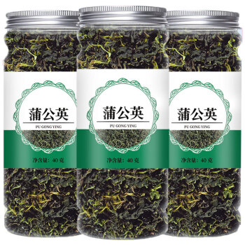 伢茶婆蒲公英茶一罐40g 新茶蒲公英根婆婆丁干货浦公英茶叶菊花茶