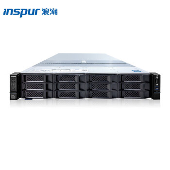 浪潮（INSPUR）英政CS5260F 信创国产化自主可控服务器飞腾 腾云S2500 双CPU 256GB 480G SSD+2*4T SATA硬盘