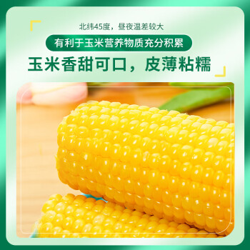 柴火大院 23年新玉米 五常鲜食玉米1.76kg（杂粮 礼盒 黄糯 低脂 220g*8）