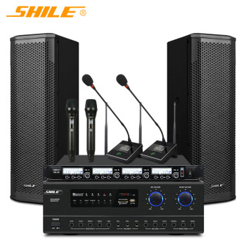 狮乐 （SHILE）专业中小型会议室音响系统可调角度音柱功放音箱组合教室 AV-108/BX-402*2/SH20