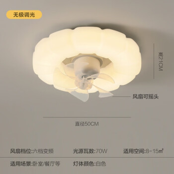 TDREAM极简风扇灯奶油简约INS风遥控无极