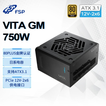 全汉（FSP）VITA GM 750W金牌全模组电源（ATX3.1/PCle 5.1 12V-2x6接口/105℃工业等级日系电容）