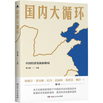国内大循环(中国经济发展新格局)