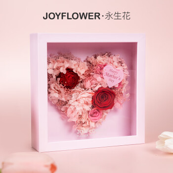 JoyFlower康乃馨永生花相框母亲节520情人节生日礼物纪念日送女友妈妈实用