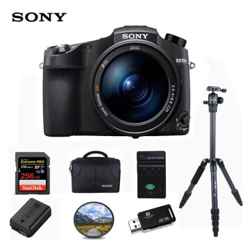 索尼（SONY）DSC-RX10M4 黑卡数码相机 1英寸大底 超长焦 （24-600mm） 约0.03秒快速对焦  256G套装