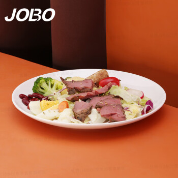 巨博(JOBO) 商用酒店餐具密胺自助餐浅盘子10个装 菜盘炒菜炒饭炒面盘子10英寸25.4cm