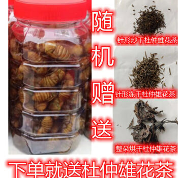 伟博新鲜金蝉100只杜仲树林金蝉薄皮金蝉高营养高蛋白知了猴鲜活冰冻