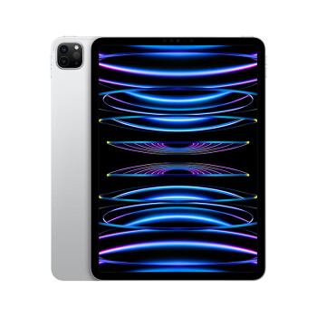 Apple/苹果 iPad Pro 11英寸平板电脑 2022年款(1TB WLAN版/M2芯片/学习办公娱乐/MNXL3CH/A)银色