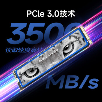 移速（MOVE SPEED) 1TB SSD固态硬盘 M.2接口(NVMe协议) 美洲豹系列  长江存储晶圆  国产颗粒