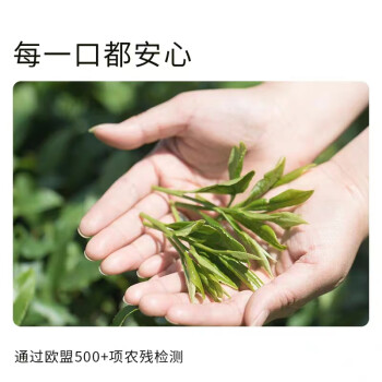 贵茶 贵州高原抹茶粉20g 欧盟标准冲饮布丁蛋糕国产铜仁烘焙 3号