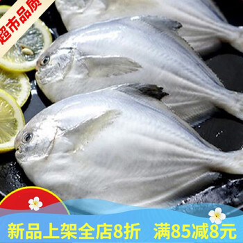 东海白鲳鱼新鲜深海鲳鱼鲜活冷冻冰鲜鱼水产鳊鱼2斤