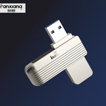 梵想（FANXIANG） USB3.0 U盘 256GB银色 F313 银色 金属电脑车载两用优盘 高速版