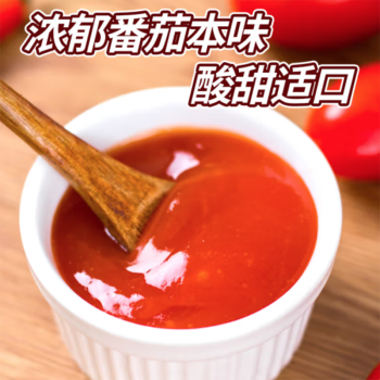 赵四海番茄酱 袋装番茄沙司 意大利面薯条酱850g/桶