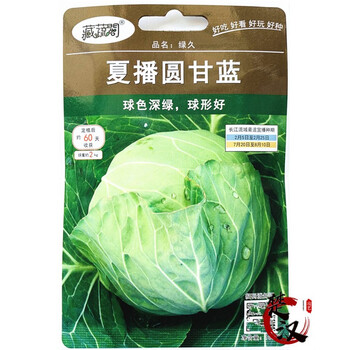 一播大地 包菜/卷心菜 结球甘蓝 牛心甘蓝种子 圆甘蓝种子紫甘蓝 阳台