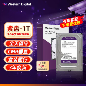 西部数据（WD） 紫盘  SATA接口  安防录像监控录像机 CMR垂直 3.5英寸台式机械硬盘 1TB 紫盘【WD11PURP】
