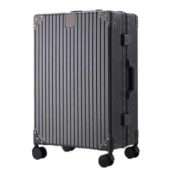 ELLE法国行李箱时尚灰色29英寸拉杆箱女士旅行箱防刮耐磨万向轮密码箱