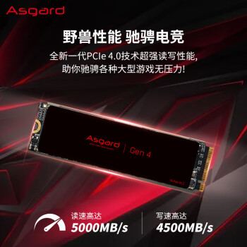 阿斯加特（Asgard）Lite 2TB SSD固态硬盘 M.2接口(NVMe协议) PCIe 4.0 读速高达5000MB/s