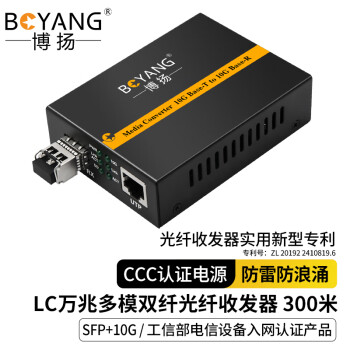 博扬（BOYANG）BY-WG915D 万兆光纤收发器 SFP+10G多模双纤光电转换器 LC接口传输300米 基站服务器专用