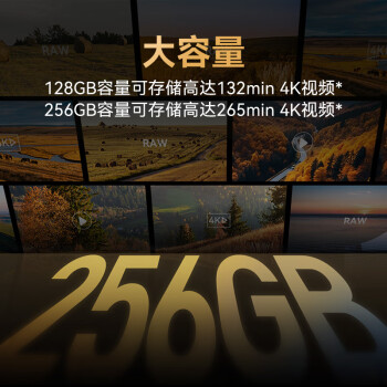 雷克沙（Lexar）256GB TF（MicroSD）存储卡 U3 V60 A1 读280MB/s 写180MB/s 高速内存卡 4K超清录制（GOLD）