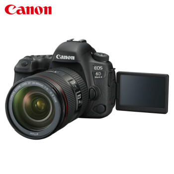 佳能（Canon）EOS 6D Mark II 6D2 全画幅单反相机 EF 24-105mm f/4L套机 (含256G卡+包+UV+备电+碳纤维脚架)