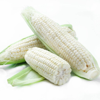 白糯甜玉米 农家玉米 新鲜速冻白玉米 10根约6斤 甜玉米棒