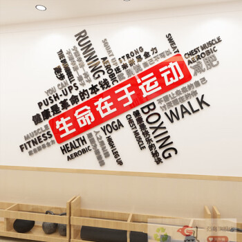 烈鸟健身房运动墙贴体育运动馆亚克力立体背景墙3d立体创意励志墙面