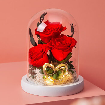 RoseBox永生花礼盒红玫瑰花七夕情人节生日礼物结婚纪念日送女友实用走心